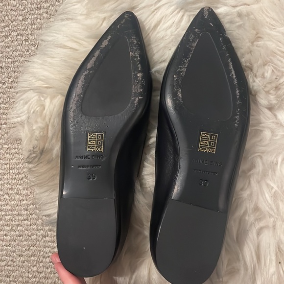 Anine Bing Delphine Flats - Picture 3 of 6